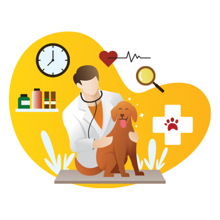 Online Veterinary Consultation | Talk to a Vet now