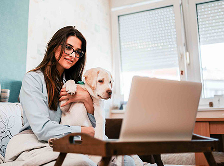 Video call with a Vet Doctor