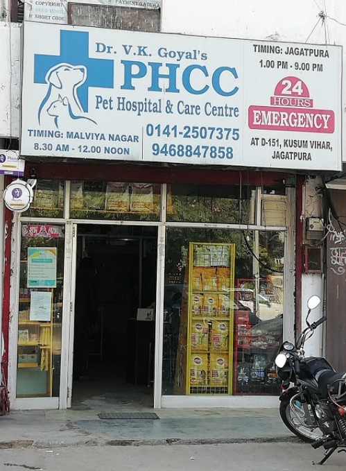 Goyal store dog clinic