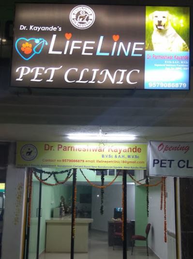 Lifeline deals pet clinic