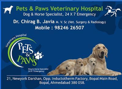 All pets and paws animal sale hospital