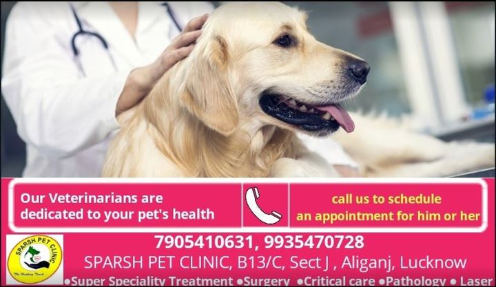 Sparsh hot sale pet clinic