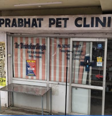 Prabhat cheap pet clinic