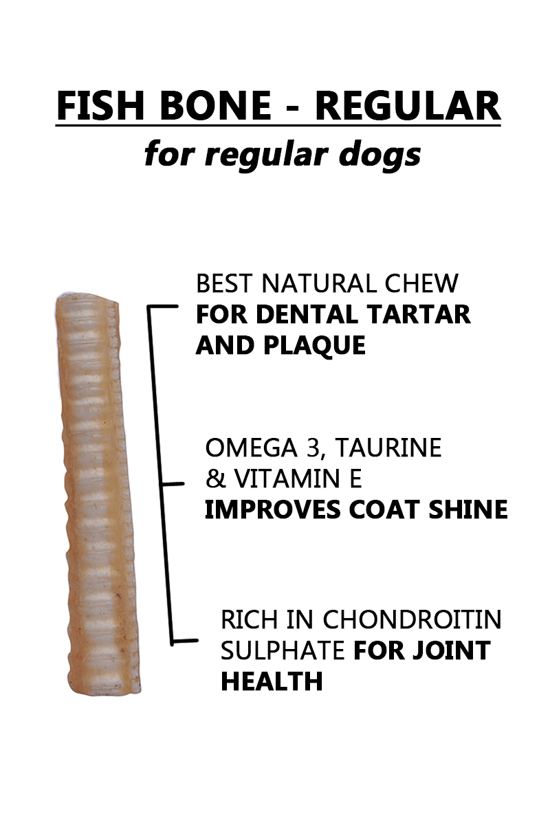 Ocean Chew (Fish Bone) – Regular Size. Fish Chews For Dogs