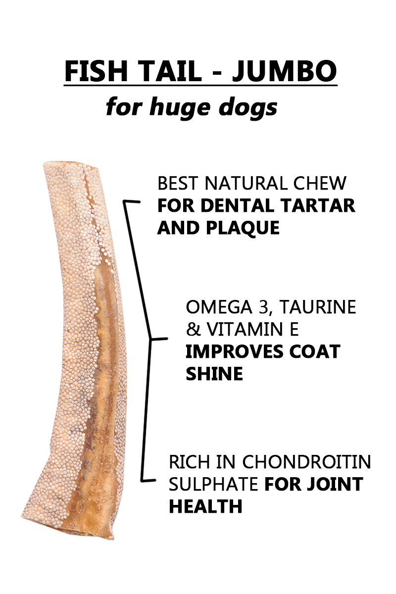 Ocean Chew (Fish Tail) – Jumbo Size. Fish Chews For Dogs