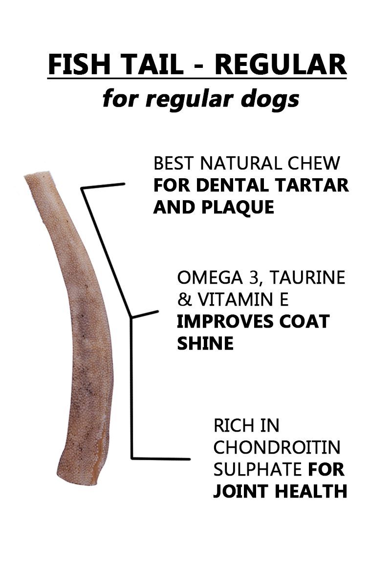 Ocean Chew (Fish Tail) – Regular Size. Fish Chews For Dogs