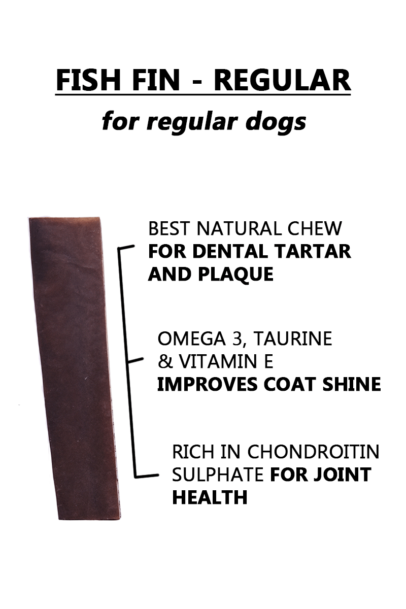 Ocean Chew (Fish Fin) – Regular Size. Fish Chews For Dogs