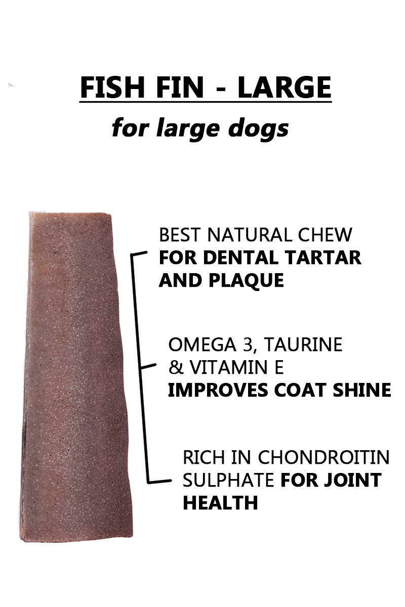 Ocean Chew (Fish Fin) – Large Size. Fish Chews For Dogs